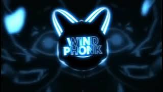 VIBE DESCONTROLADA – Super Slowed Version | TEENWXVE x MVSTERIOUS x NVRVY | 2025 Phonk Edit