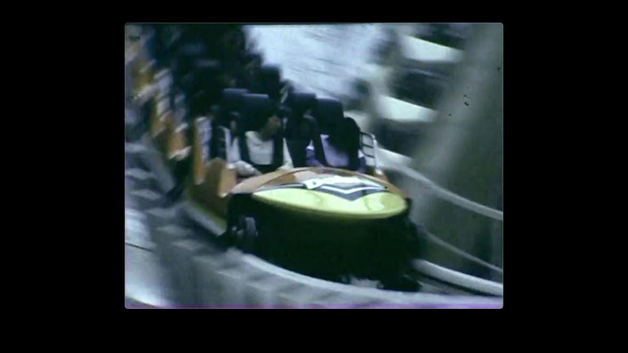 サンダーではない、ただのドルフィン（みさき公園）- Dolphin the