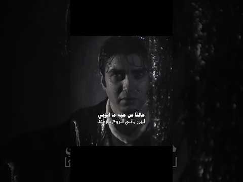 حالف عن حبه ما اتوبي مشاري بن نافل شيلات جديد 2026 ستوريات حالات واتس تصميم شيلات شيلات فخمه 