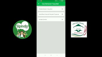 Cara menggunakan fitur identifikasi hama dan penyakit tanaman dengan aplikasi Sipindo
