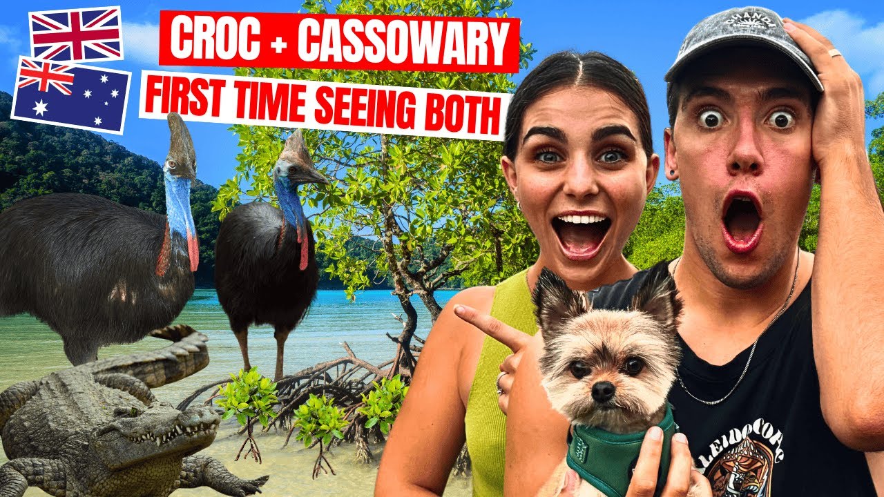 We FINALLY Saw a Cassowary in the Wild... and a Crocodile Too! 🐊🦜