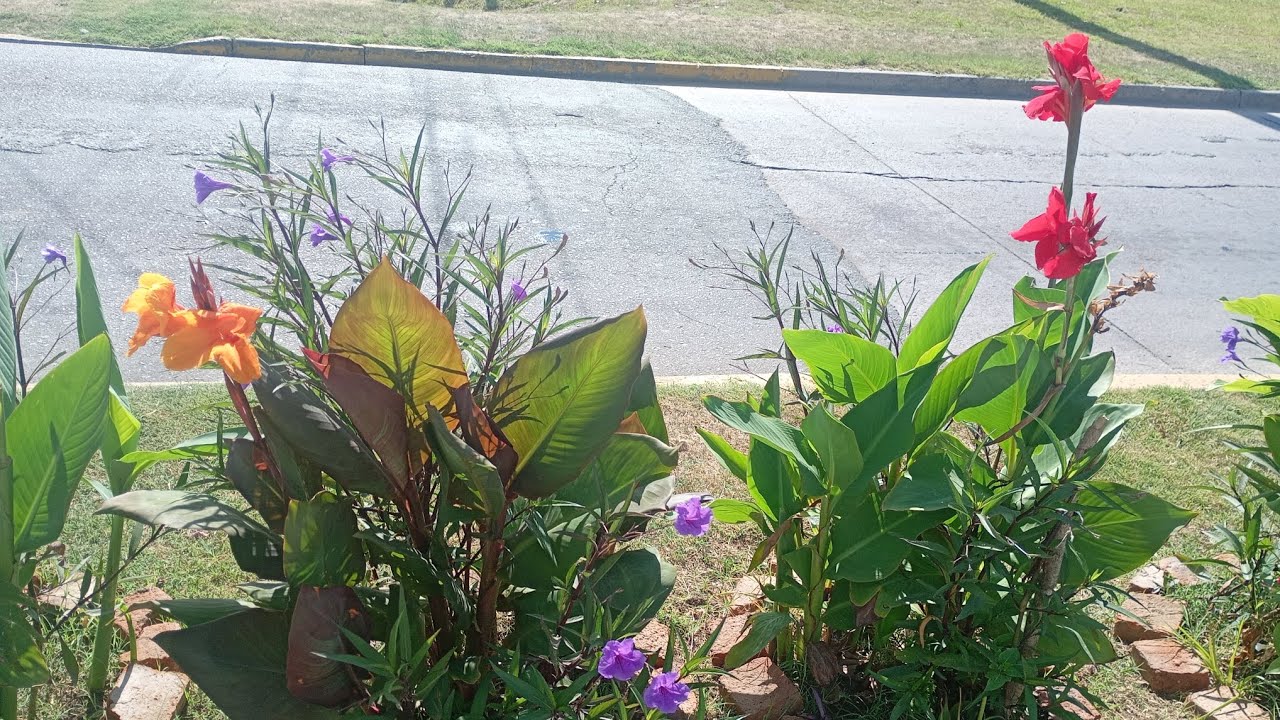 07-03-26 ”final del comienzo ” ✨💃🏼💐🤍