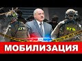 СПЕЦВЫПУСК | Скрытая мобилизация - Разведка Украины / Народные новости