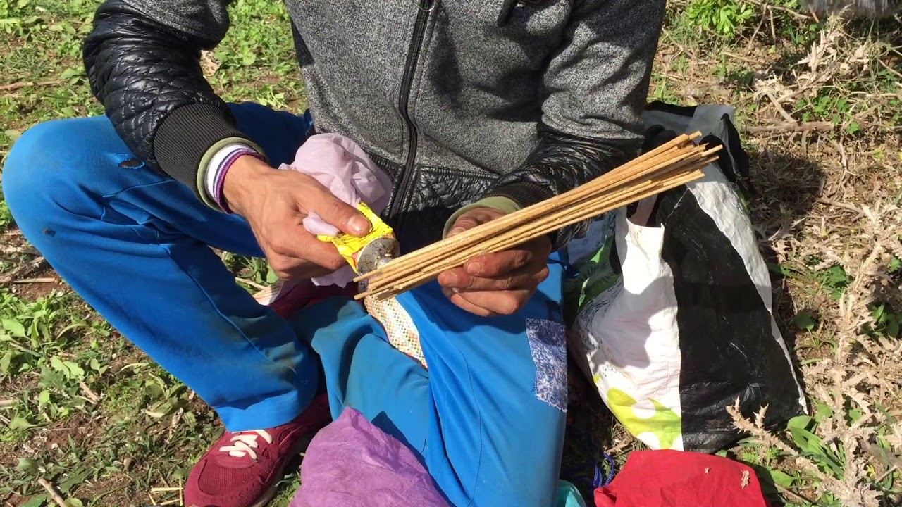 طريقة تحضير اللصق أو الدبق لصيد طائر #الحسون #صيد_الحسون_المهاجر #مقنين #chasse