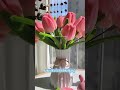 DIY Pipe Cleaner Flower! 🌸 (So easy and satisfying) #shorts