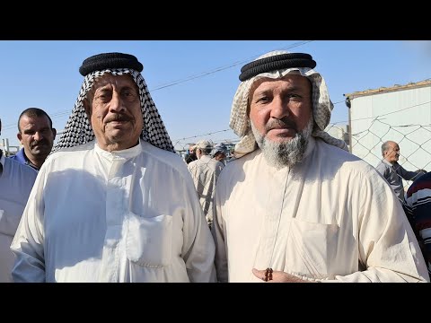 ما معنى حيا الله نباك