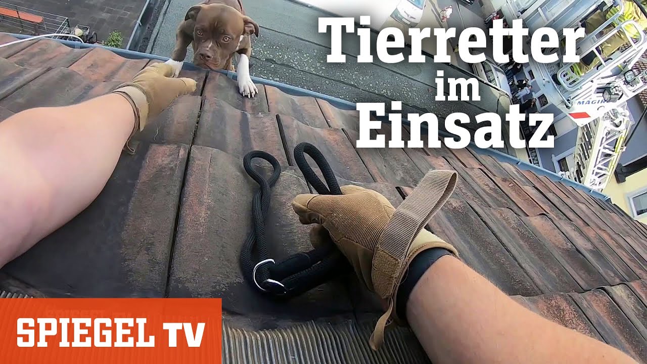 Tierretter im Einsatz | SPIEGEL TV