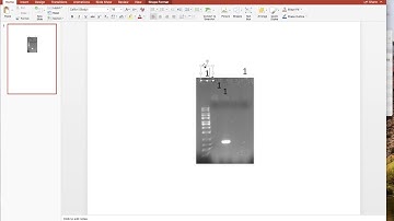 Video 2: Labeling a Data Figure