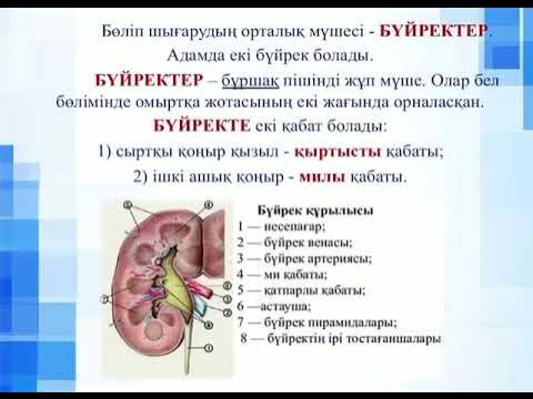 Үйдегі анальді секс