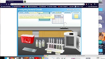 Bacteria Virtual Lab