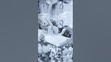 Wireframe of Tidepool Nook 5.1