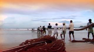 New open online course: from climate science to action