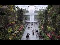 Inside: Jewel Changi Airport  FULL - YouTube