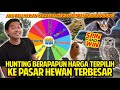 HUNTING HEWAN BERAPAPUN HARGA YANG TERPILIH DI SPINNING WHEEL KE PASAR HEWAN TERBESAR DI BANDUNG!