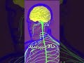 گودالی به اسم هروئین