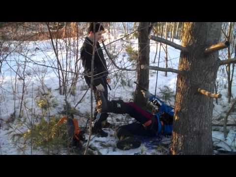 eryk falls out of tree