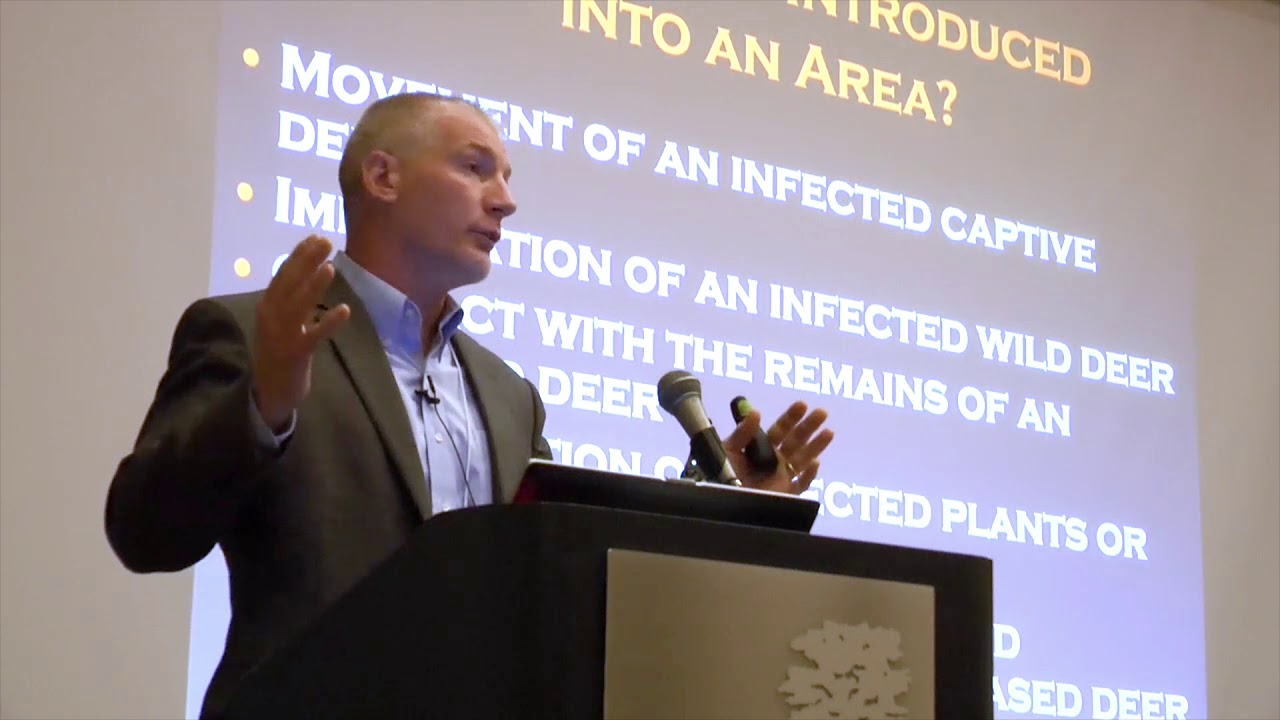 Free-Ranging Deer Perspective - Kip Adams