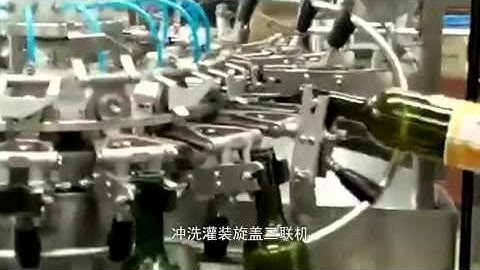 Automatic Washing Filling Capping Machine for Wine Bottles