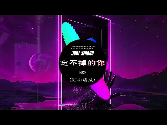 Chinese DJ 2024 高清新夜店混音❤️‍🔥2024年最新dj歌曲:还是会想你（DJ铁柱版） - 先说谎的人 , 姑娘在遠方 - 柯柯柯啊/三生三幸 -  海来阿木💗抖音神曲2024 class=