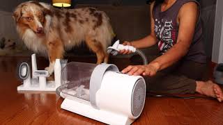 Best Pet Grooming Vacuum Kit