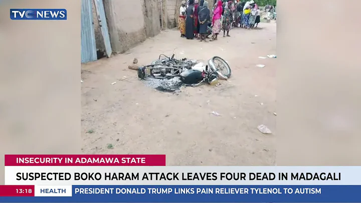 Suspected Boko Haram Attack Leaves Four Dead In Madagali
