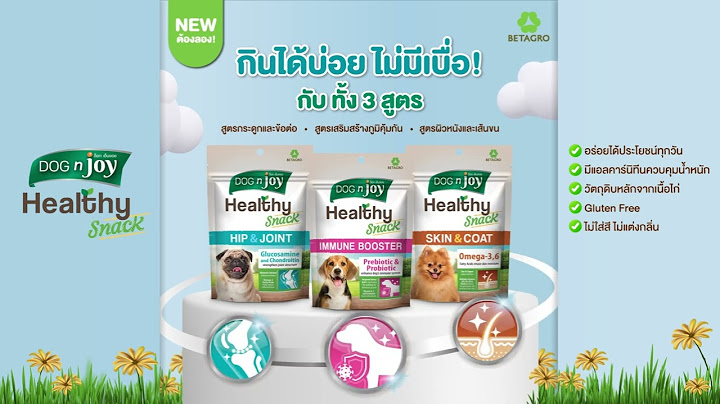 Dognjoy ส น ขพ นธ กลาง หน กก กร ม