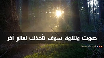 تلاوة صباحية هادئة سوف تأخذك لعالم آخر