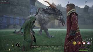 New HogWarp Test Build | Creature Mounts and Animations in Multiplayer