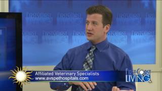 Kevin P. Benjamino, DVM, DACVS on First Coast Living (June 16, 2017)