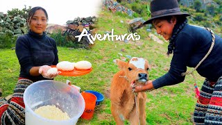 ORDEÑANDO Y HACIENDO QUESO DE VACA EN EL CAMPO - MediaVenturas Vlogs - Full ᴴᴰ☆