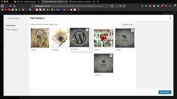 How to Use Masonry Galleries - Updating Your Wordpress Enfold Site (Strategy Lab)