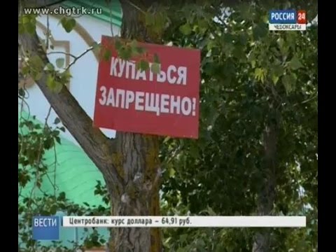 В Чебоксарах недалеко от центрального пляжа утонул гражданин Пакистана