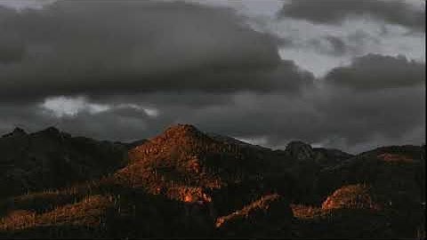 سورة الانشقاق القارئ هزاع البلوشي