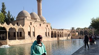 40 Gelince Satın Bu Hısseyi