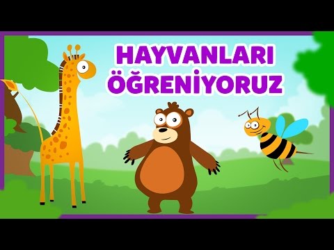 Video: Eşekler Bize İnsan Olma Konusunda Ne Öğretebilir?