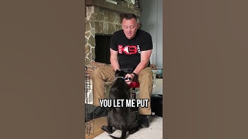 Top 3 tips om de benchtraining onder de knie te krijgen