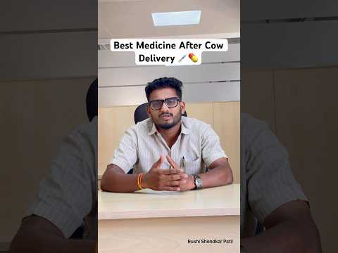 Best Medicine For Cow After Delivery | गाई विल्यानंतर कोणती औषधे वापरावीत #shorts #cowfarm #ytshorts