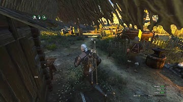 Witcher 3 Modded | Enhanced Edition Lazarus | No Commentary | Episode 9