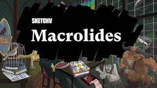 Comprehensive Guide to Macrolides and Their Uses (Part 1) | Sketchy Medical | USMLE Step 1