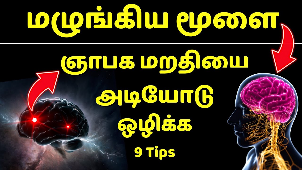 🧠 மூளையின் திறனை 5 நிமிடத்தில் அதிகரிக்க 9 BAD HABITS’ ஐ உடனே தவிர்! POWERFULL BRAIN TIPS in tamil