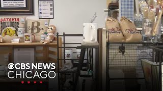 Shop local at the Red Hive Market in Chicago suburbs