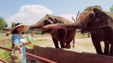 Một ngày ở Vinpearl land - Địa điểm vui chơi nên đến tại Quảng Nam chỉ sau Hội An