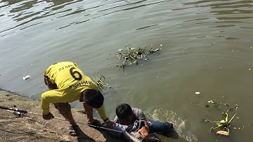 Cá Trê khủng dưới cầu Khánh Hội Quận 4