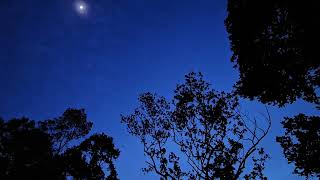 twilight to nightfall #timelapse #terraceview