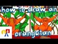 How To Draw An Orangutan
