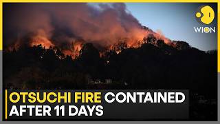 Japan Wildfires: Iwate Region Faces Repeat Large-Scale Fire Emergencies | WION