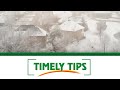 Timely Tips: Preparing a Winter Weather Car Kit