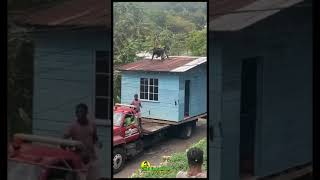 NOBODY can do this in JAMAICA #shorts  #chatjamaicanwithtania #jamaica #love