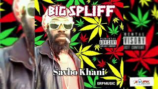 Savbo Khani - Big Spliff