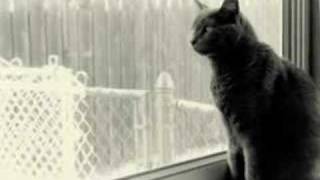 Ashfur-I Got My Game On
